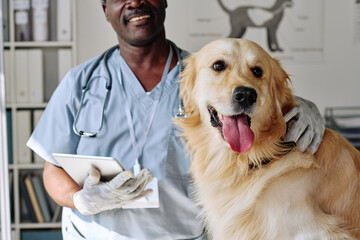 Close-up of African veterinarian caring about purebred retriever at vet clinic