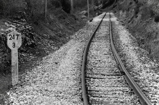 railroad tracks in the forest
