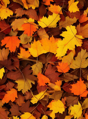 Naklejka na ściany i meble outono, folhas , castanho, folhagens, árvore