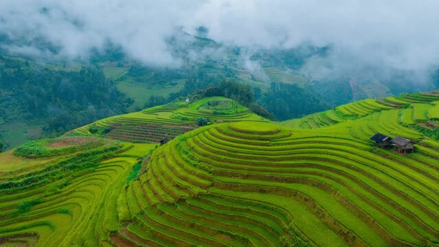 Hyper lapse of Rice terraces with morning mist in Mu cang chai, Vietnam. Beautiful landscape in Vietnam.