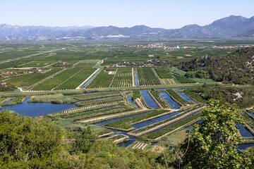 Irrigated fields, top view