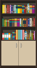 Library book shelf, bookcase with different books