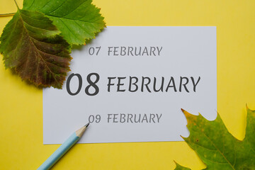 Naklejka premium 8 february day of month on a white sheet and the dates of the day earlier and later, written in simple pencil. Decoration with green leaves and yellow background.