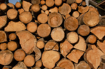 Not chopped round firewood stacked in a pile, wooden texture