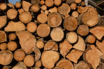 Möbelaufkleber Not chopped round firewood stacked in a pile, wooden texture © Aritel
