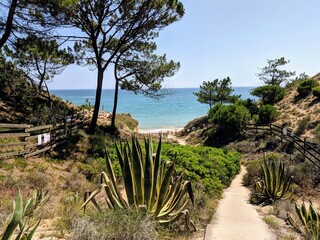 very nice view to the sea in portugal