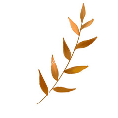 Leaves Icon