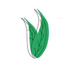 Leaf Icon