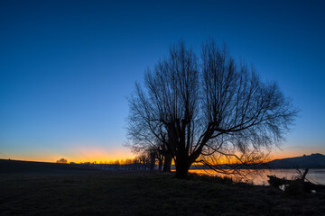 Fototapeta premium Silhouette trees along the Clutha river at sunset, Balclutha, South Otago.