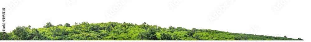 Poster rocky mountain hill with green forest isolated on transparent .background with clipping path and alpha channel