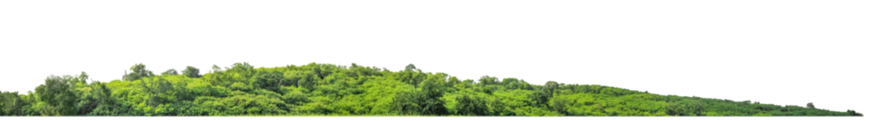 Foto op Plexiglas rocky mountain hill with green forest isolated on transparent .background with clipping path and alpha channel © Sarawut