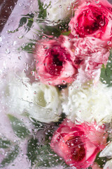 modern background with blured flowers and drops. Abstract flower bouquet background under water drops