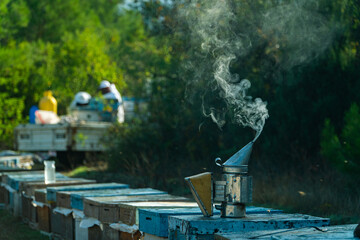 Honey Bee Smoker top of Beehive