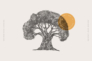 Old tree in engraving style. Hand-drawn long standing tree. Template for design postcard, logo, label. Vintage illustration on a light isolated background.