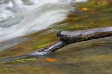 Photo of water flowing in a river during autumn