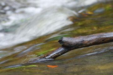 Photo of water flowing in a river during autumn