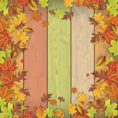 Autumn Colors Wooden Background