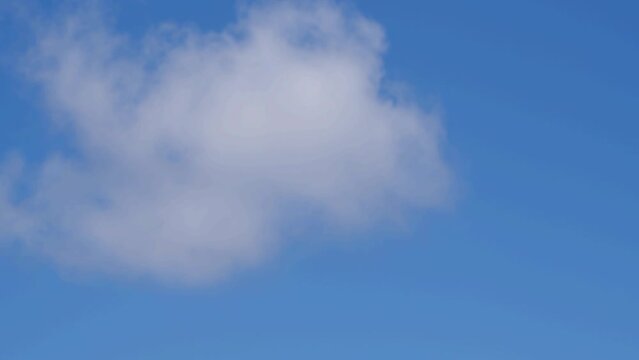 A single fluffy cumulus cloud crosses a blue sky