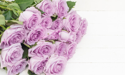 background of beautiful pink rose flowers with a copy of the space