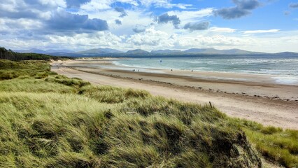 sand dunes and beach