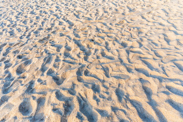 Fototapeta na wymiar Sea sand floor.sand on the beach as background..Background image
