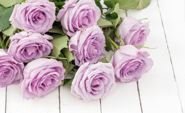 bouquet of beautiful purple roses on a white wooden background
