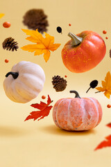 Autumn pumpkins and leaves on warm background. Levitation autumn, halloween concept. Copy space.