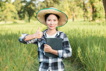 Asian farmer woman standing and thumb up at green rice farm