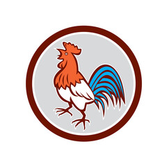 Chicken Rooster Crowing Looking Up Circle Retro