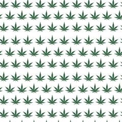 Marijuana leaves, seamless pattern. Green plant background