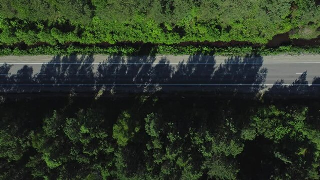 4k Aerial view of road and green forests in open air on summer day irrl. Drone flies high and captures beautiful picture of nature and asphalt road in countryside without anyone. Operator took pic of
