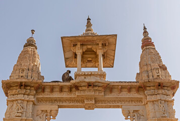 monkey sitting on gate of Krishna Meera Temple in Amer