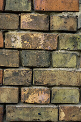 Dirty brown brick wall, grunge, close-up, rough texture of fired clay material, mold showing through.