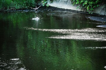 Abstract spectacle background material of autumn stream.