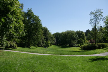 Rombergpark in Dortmund