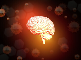 Human brain anatomy on scientific background. 3d illustration.