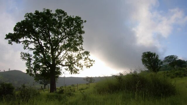 Cloudy Sky Over Nature Landscape In Brahmagiri In The Western Ghats Of South India. wide