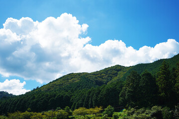 Obraz premium 青い空と山