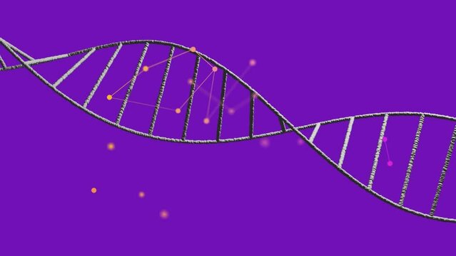 Animation of network of connections over dna strand