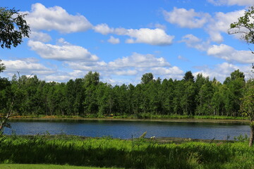 lake in the forest