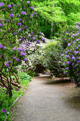 Path among flower bushes an trees in summer