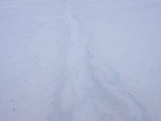 Trail in the snow