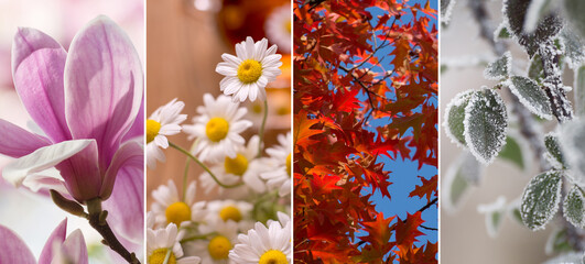 Four Seasons Banners Set. Collection of Spring Summer autumn and Winter backgrounds