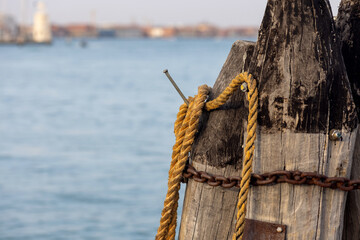 Obraz premium Wooden pillars with old rope and chain in sea at Venice dock. Large wooden logs, breakwaters in Venezia, Italy