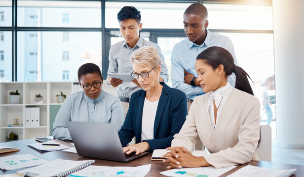 Manager, laptop and collaboration meeting for team working in digital marketing and advertising. Leadership, planning and strategy for diversity group with ceo, paper documents and chart statistics