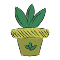 Vector flat house plant pot illustration. Green house plant in pot for your design.