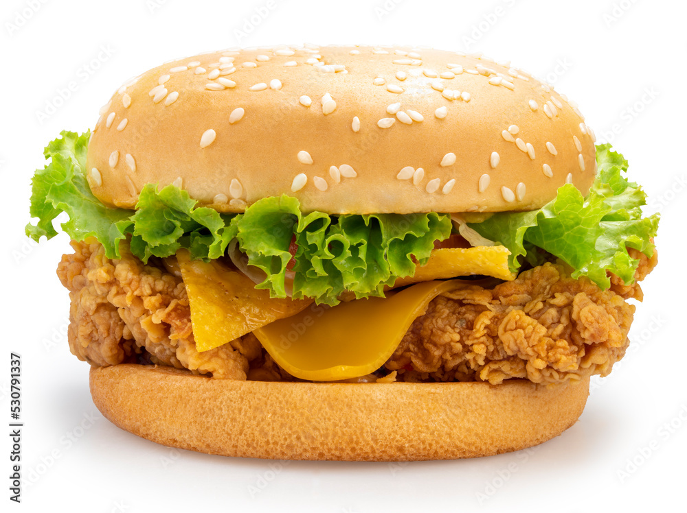 Wall mural chicken hamburger with cheese, tomato, onion, lettuce and ketchup mustard isolated on white backgrou