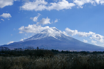 富士山