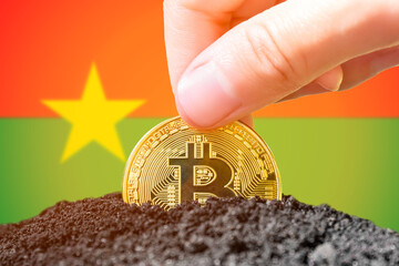 Bitcoin legalization in Burkina Faso. Planting bitcoin in the ground on the background of the flag...