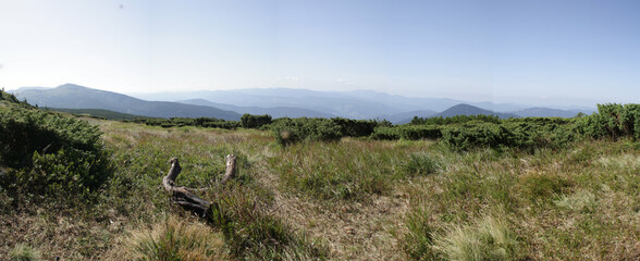panorama photo of Ukrainian Carpathians mountains